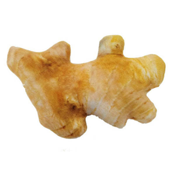 Funny Food Simulation Dog Chew ToysThick Canvas Pet Plush Toy Pet Play Chew Squeaky French Chihuahua Dog Toys dog teeth cleaning