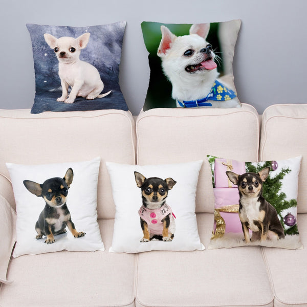 Cute MINI Chihuahua Dog Print Cushion Cover Super Soft Plush Pillow Covers 45*45 Throw Pillow Case Sofa Home Decor Pillowcase