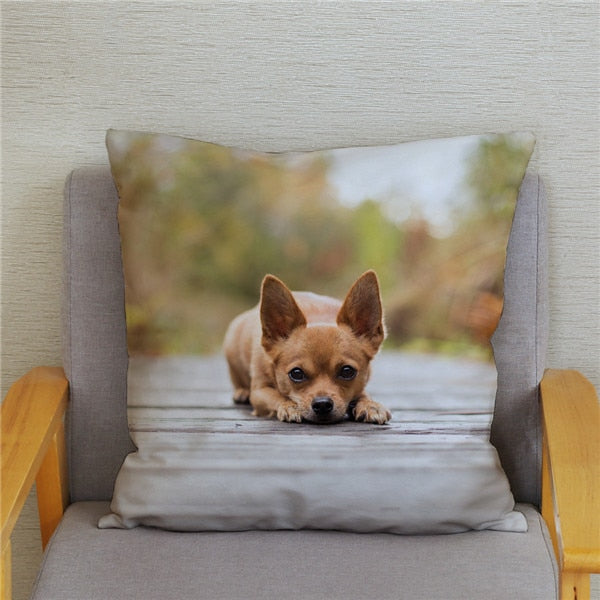 Cute MINI Chihuahua Dog Print Cushion Cover Super Soft Plush Pillow Covers 45*45 Throw Pillow Case Sofa Home Decor Pillowcase