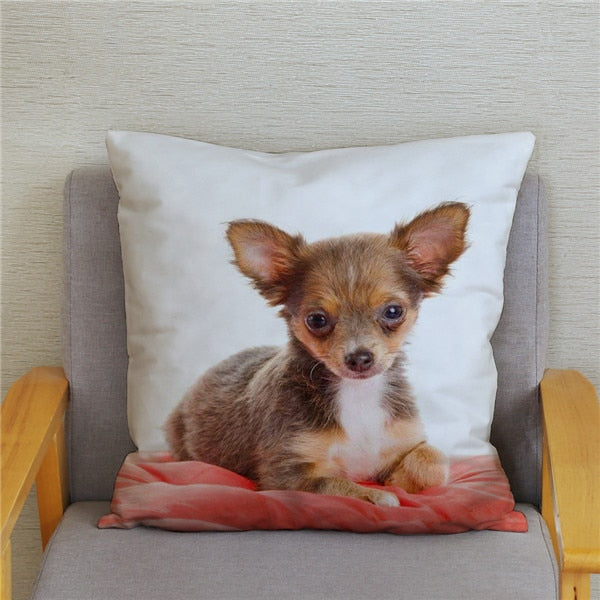 Cute MINI Chihuahua Dog Print Cushion Cover Super Soft Plush Pillow Covers 45*45 Throw Pillow Case Sofa Home Decor Pillowcase