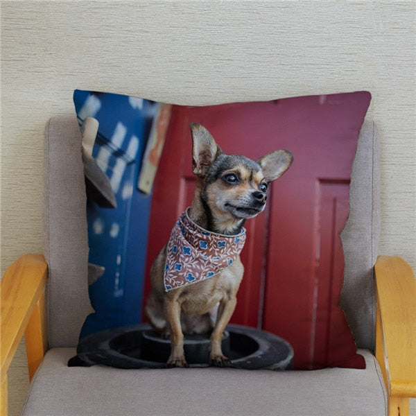 Cute MINI Chihuahua Dog Print Cushion Cover Super Soft Plush Pillow Covers 45*45 Throw Pillow Case Sofa Home Decor Pillowcase