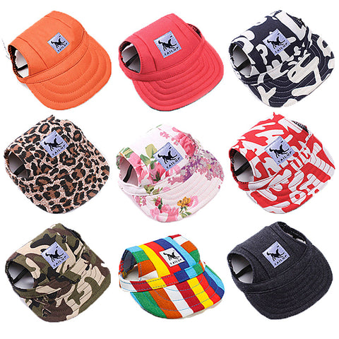 Hat Cap Baseballt Chihuahua